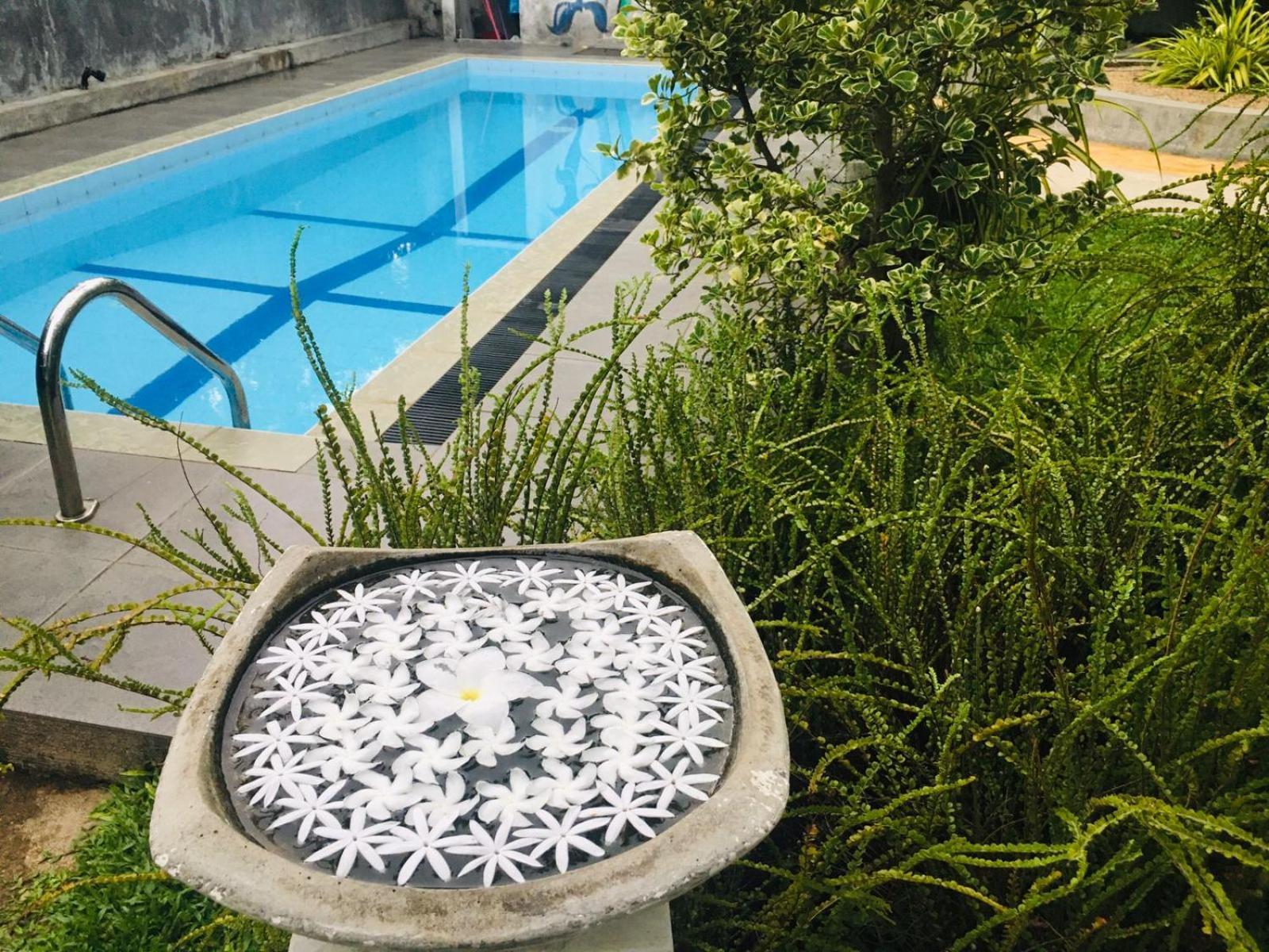 Om Villa Hikkaduwa Luaran gambar