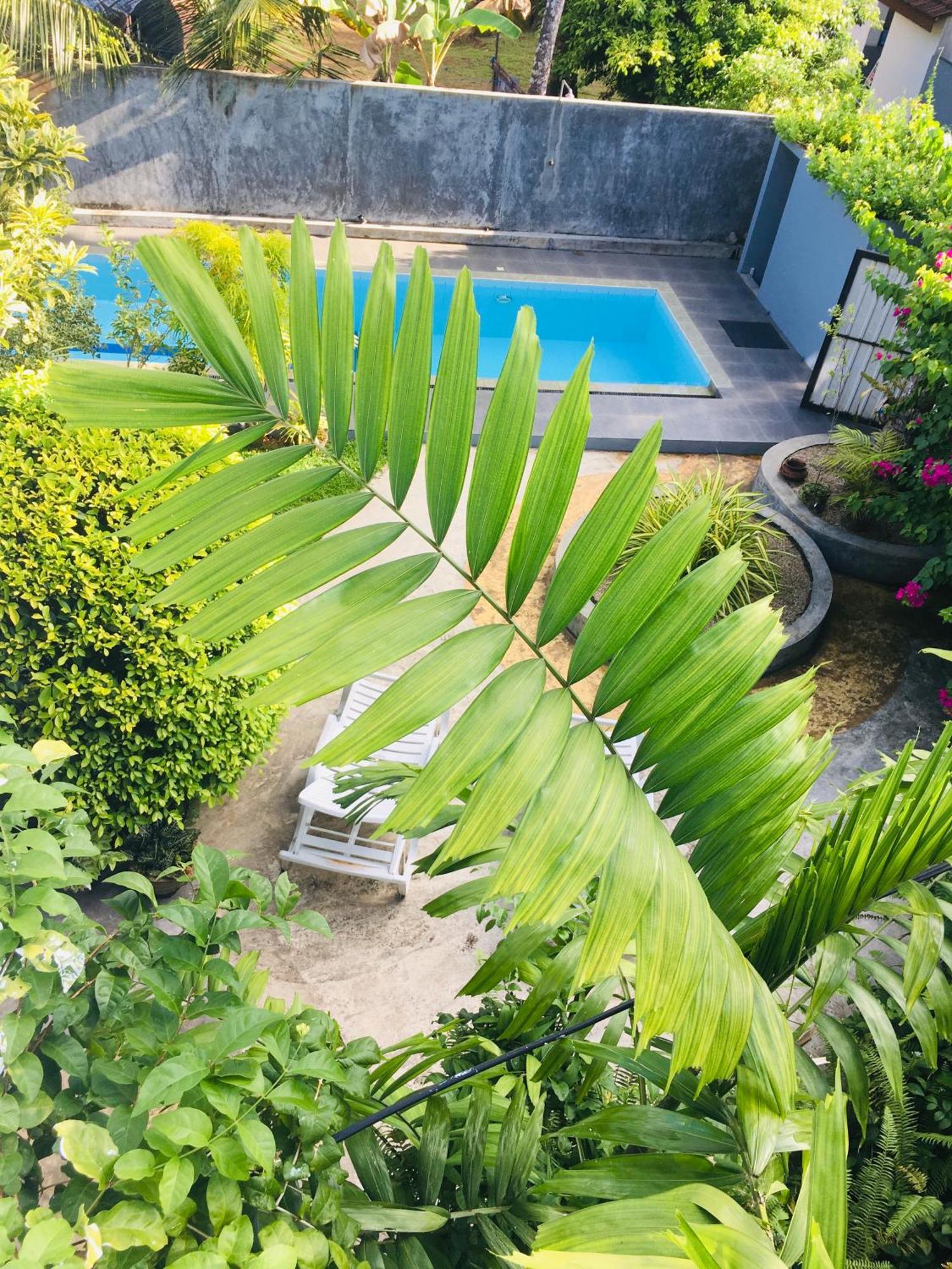 Om Villa Hikkaduwa Luaran gambar