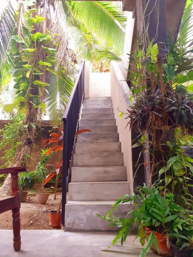 Om Villa Hikkaduwa Luaran gambar